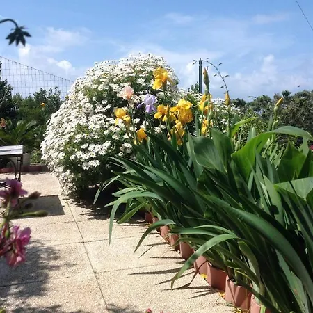 B&be Laguardia Bed & Breakfast Anacapri (Isola di Capri)