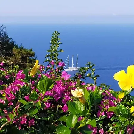 Frühstückspension B&be Laguardia Anacapri (Isola di Capri)